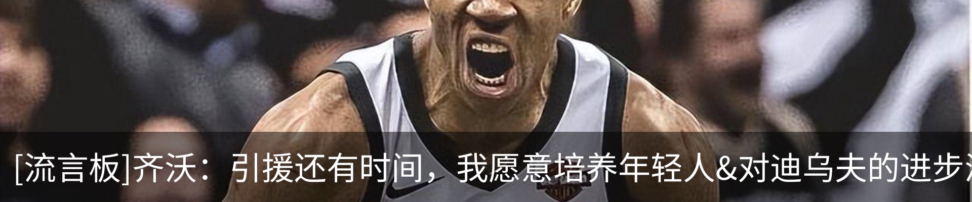 资讯动态